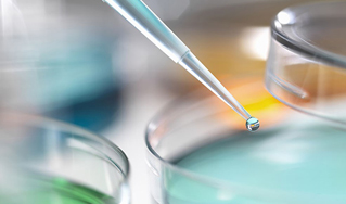 ��������Ʒϵ��