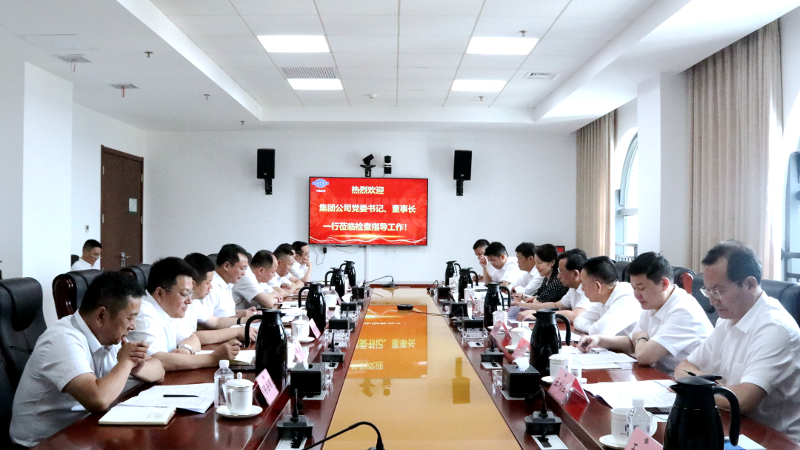2022年6月，集團(tuán)公司黨委書(shū)記、董事長(zhǎng)戴和根一行到公司調(diào)研指導(dǎo)工作